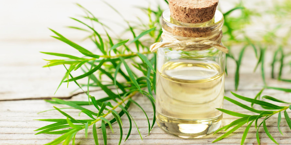 The Versatile Uses of Tea Tree Oil: A Natural Remedy for Many Ailments